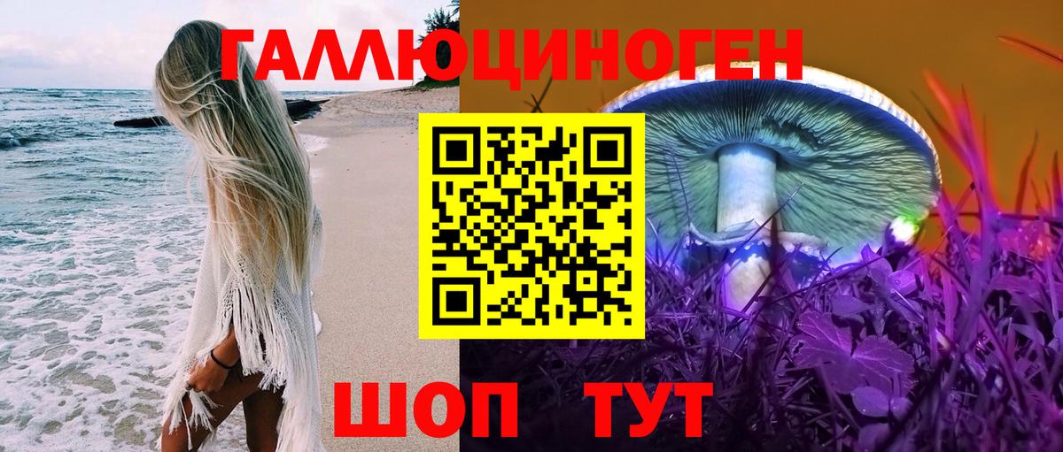 Галлюциногенные грибы Magic Shrooms  Вход с VPN  Галлюциногенные грибы Magic Shrooms  Видное 